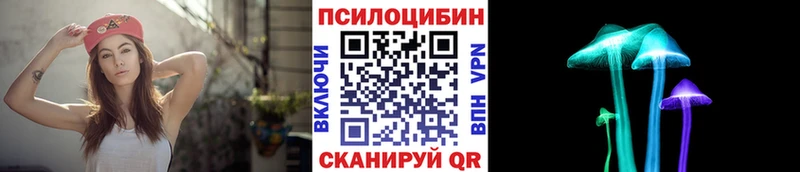 Псилоцибиновые грибы Psilocybine cubensis  купить наркотик  Нюрба 